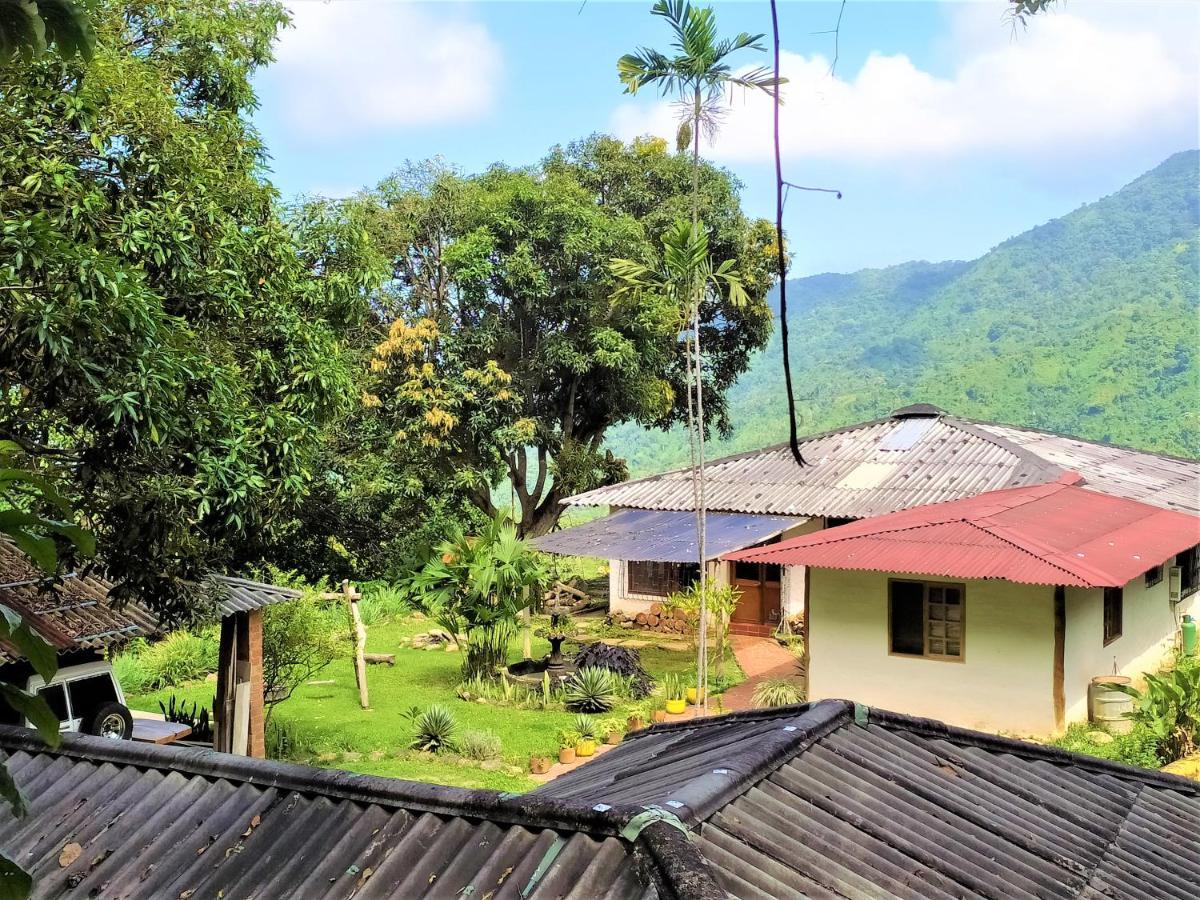 Finca Hostal Bolivar - Casa Quinta Minca Eksteriør bilde
